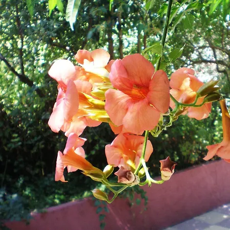 Aparthotel Staggia 3*