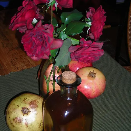 アパートホテル Staggia サミ