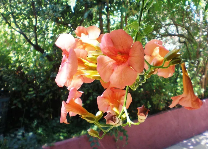 Aparthotel Staggia 3*