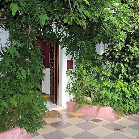 Staggia Sami (Kefalonia)